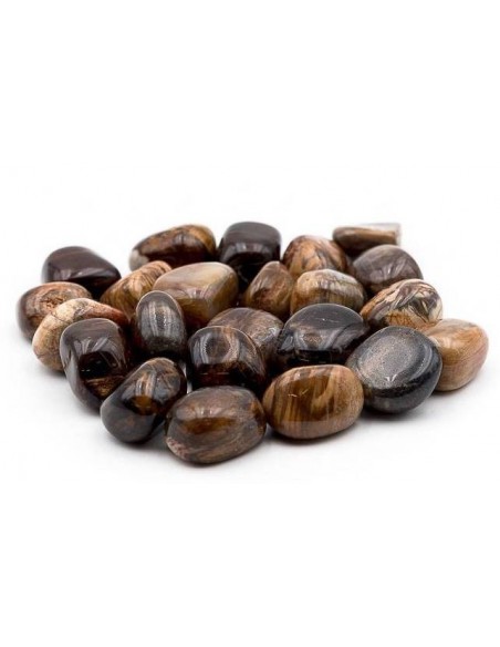 Pierres roulées Bois Fossil MM Pierres roulées Bois Fossil MM