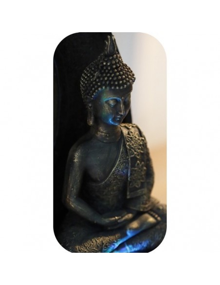 Bouddha thai méditation