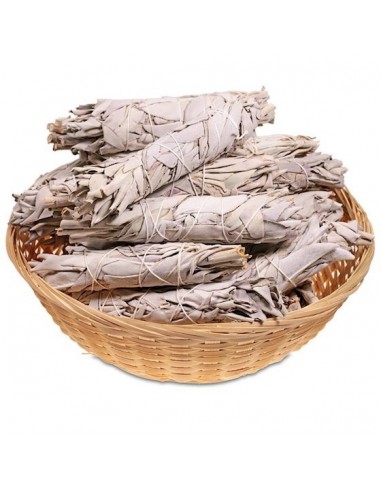 Sauge Blanche Smudge petit modèle