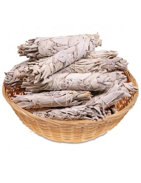 Sauge Blanche Smudge petit modèle