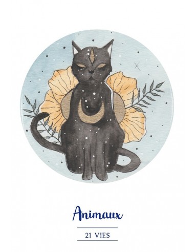 Vies Antérieures carte Oracle