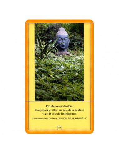 Osho Découvrez Bouddha