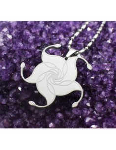 Paradis 12 composants