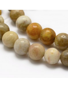 Bracelet Corail fossil Perles 06mm