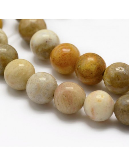 Bracelet Corail fossil Perles 06mm