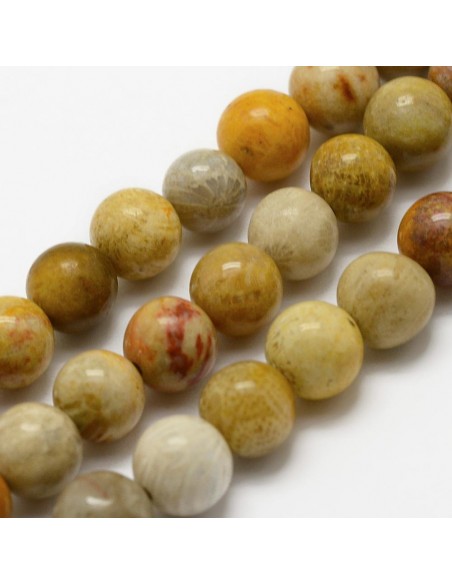 Bracelet Corail fossil Perles 06mm