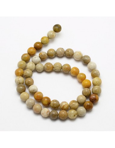 Bracelet Corail fossil Perles 06mm