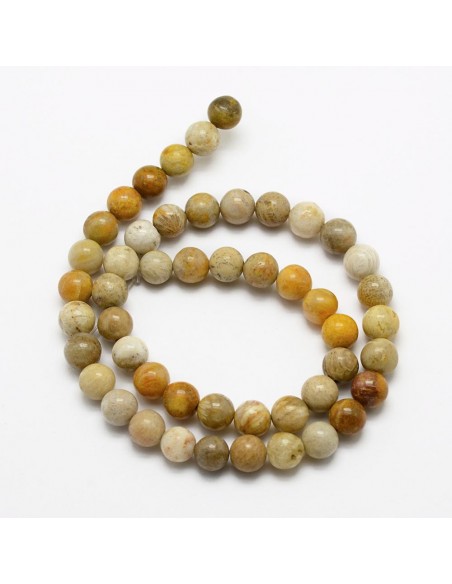 Bracelet Corail fossil Perles 06mm