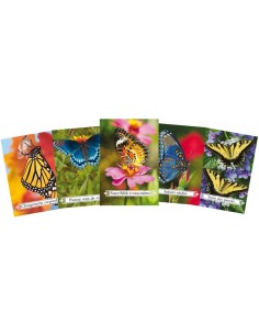 L'oracle de la transformation (Coffret) 2