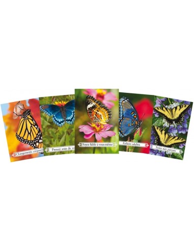 L'oracle de la transformation (Coffret) L'oracle de la transformation (Coffret)