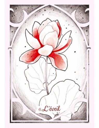 L’Oracle des Énergies Lumineuses (Coffret) L’Oracle des Énergies Lumineuses (Coffret)