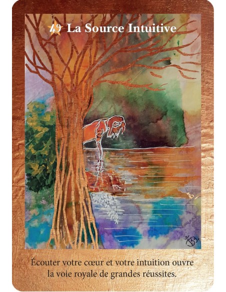 Les Portes Magiques de l'Univers (Coffret) Les Portes Magiques de l'Univers (Coffret)