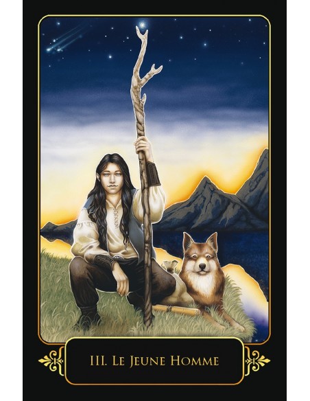 Le tarot des rêves de Gaïa (Coffret) Le tarot des rêves de Gaïa (Coffret)