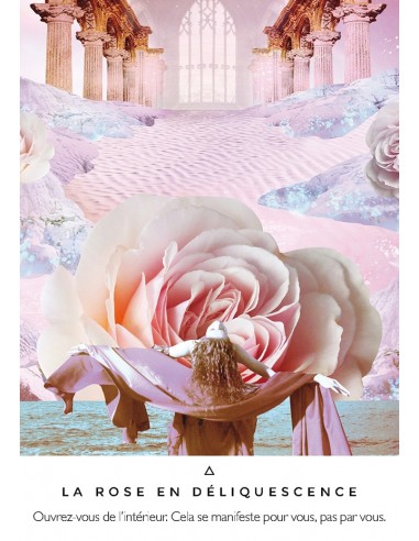 La voie des artisans de lumière (Coffret) La voie des artisans de lumière (Coffret)