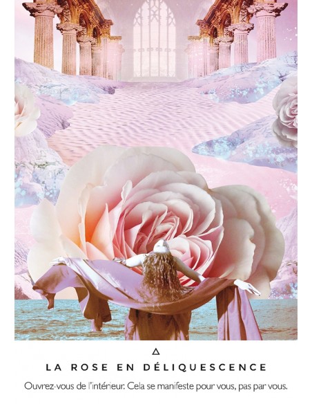 La voie des artisans de lumière (Coffret) La voie des artisans de lumière (Coffret)