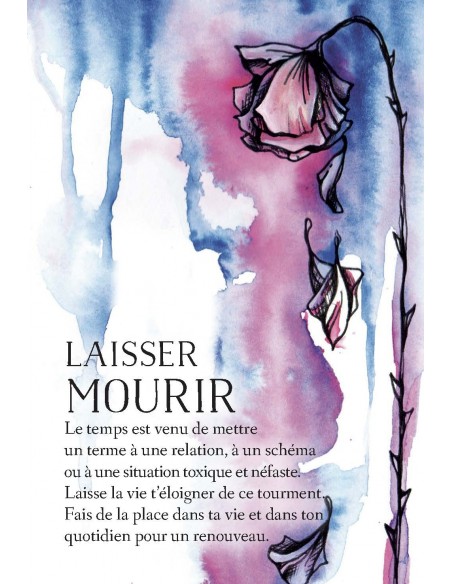 L'Oracle des messages de ton âme L'Oracle des messages de ton âme