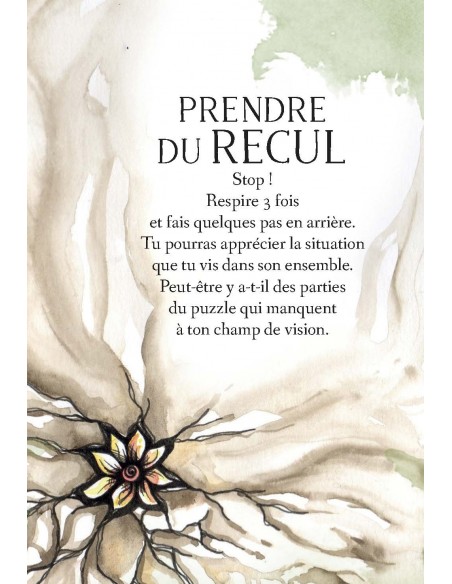 L'Oracle des messages de ton âme L'Oracle des messages de ton âme