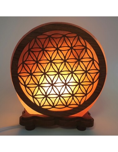 Lampe au sel de l'Himalaya, forme d'ange, fait main, sel de l'Himalaya  authentique, sel gemme, lampe de sel rose, fil de fer et ampoule de 15  watts -  France