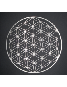 Fleur de vie acier inoxydable : diamètre 18cm