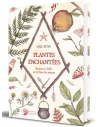 Plantes enchantées , Recettes et DIY au rythme des saisons