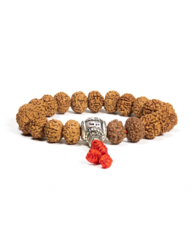 Mala / bracelet rudraksha