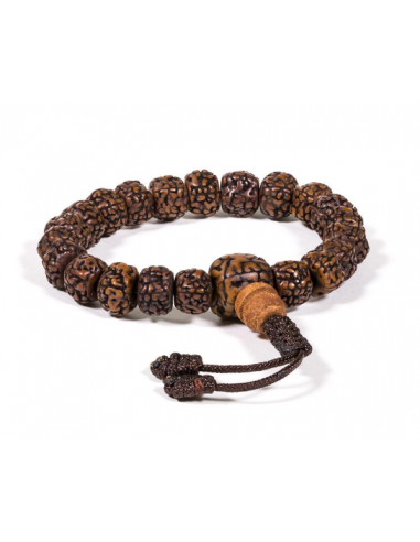 Mala/bracelet en Rudraksha 21 perles polies
