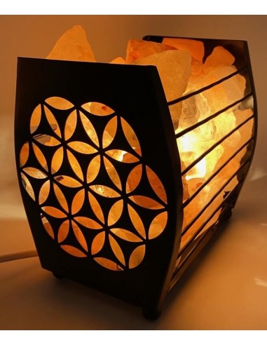 Lampe de Sel Himalaya Panier Fleur de Vie