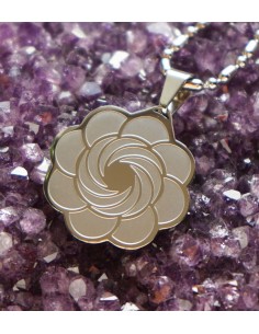 Dilectio 12 composants