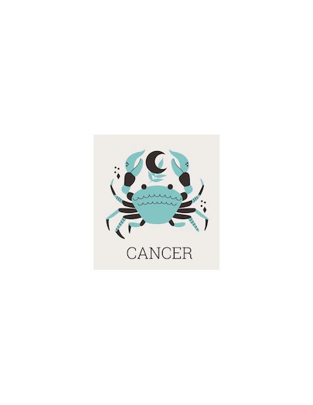 Bracelet Cancer