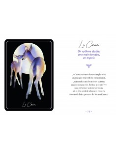 Magpie's Lenormand 2