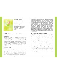 L'oracle des couleurs 2