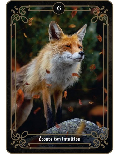 La réponse est là La réponse est là