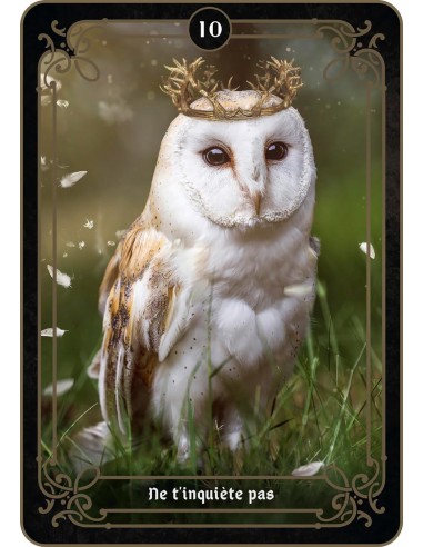 La réponse est là La réponse est là