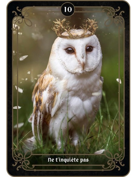 La réponse est là La réponse est là