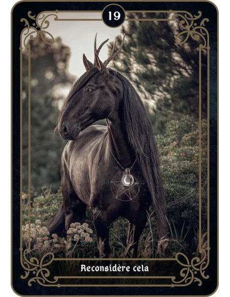 La réponse est là La réponse est là