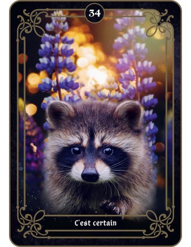 La réponse est là La réponse est là