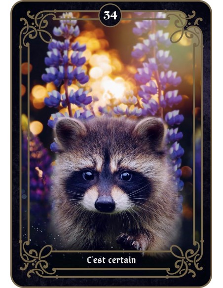 La réponse est là La réponse est là