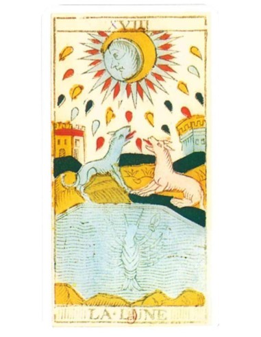 Tarot de Marseille Conver Héron