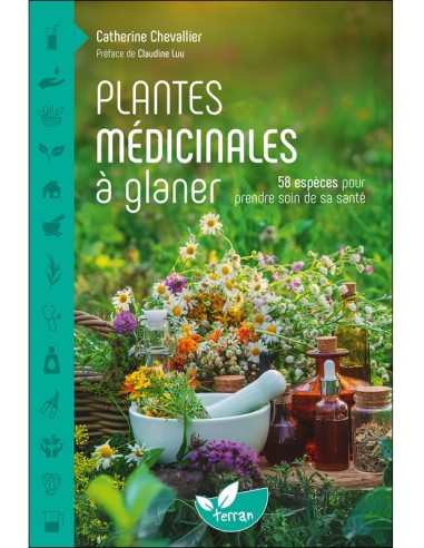Plantes médicinales à glaner